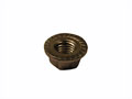 M8-1.25 Serrated Flange Nut A2 Stainless Steel