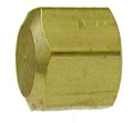 1/4" Compression Brass Cap