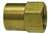1/4" Flare x 1/8" FNPTF Inverted Flare Female Adapter plumbing
