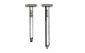 1" Galvanized Roofing Nails
