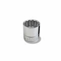 1/4" Chrome Plated URREA 1/2" Drive 12 Point Standard Socket